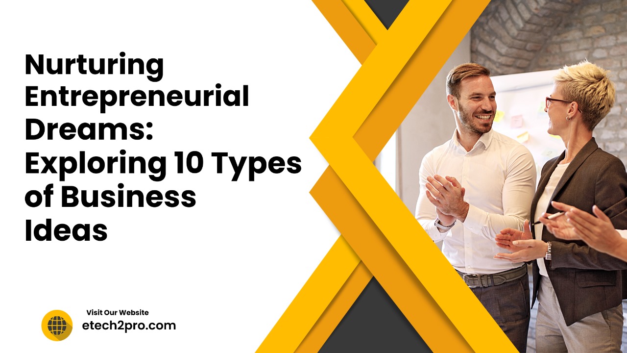 Nurturing Entrepreneurial Dreams: Exploring 10 Types of Business Ideas