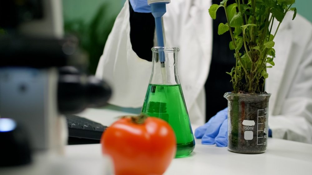 Cultivating the Future: The Symbiosis of DNA Technology and Agriculture Careers